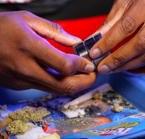 Brown hands using the best cannabis grinder to prepare weed on a tray.